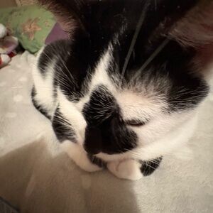 Meet your Posher, Ceci